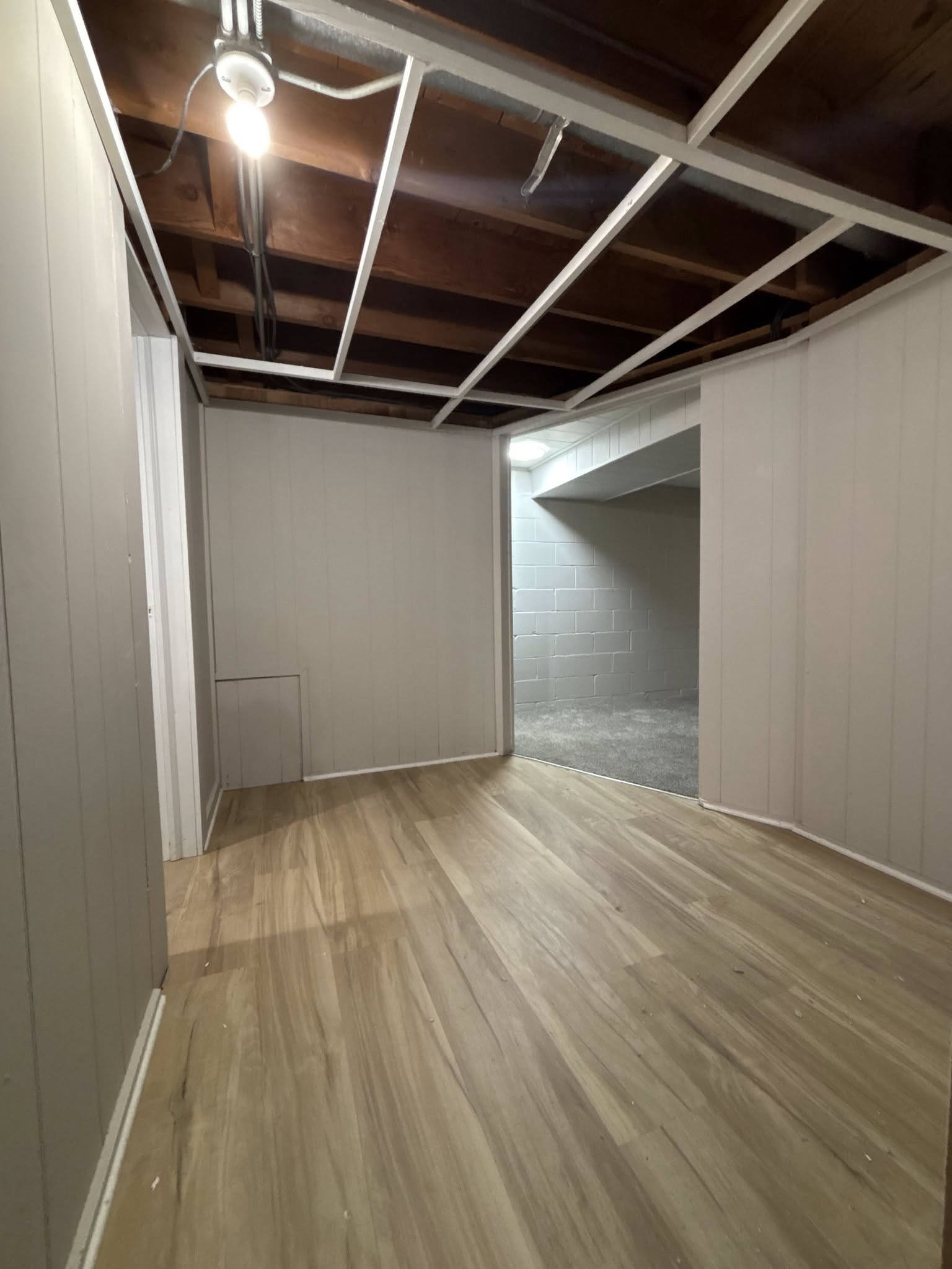 Basement — before