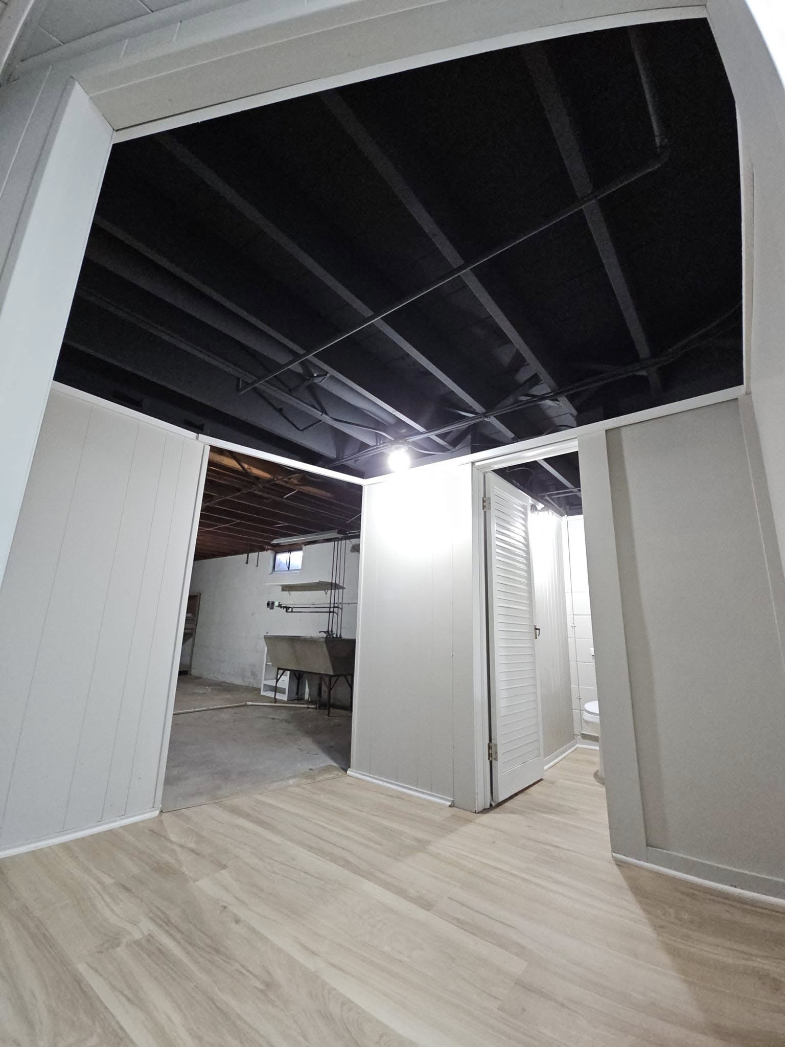 Basement project